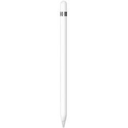 Apple Pencil 1Gen per iPad +Adattatore USB-C MYQW3ZM/A